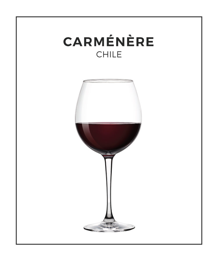 An Illustrated Guide to Carménère from Chile