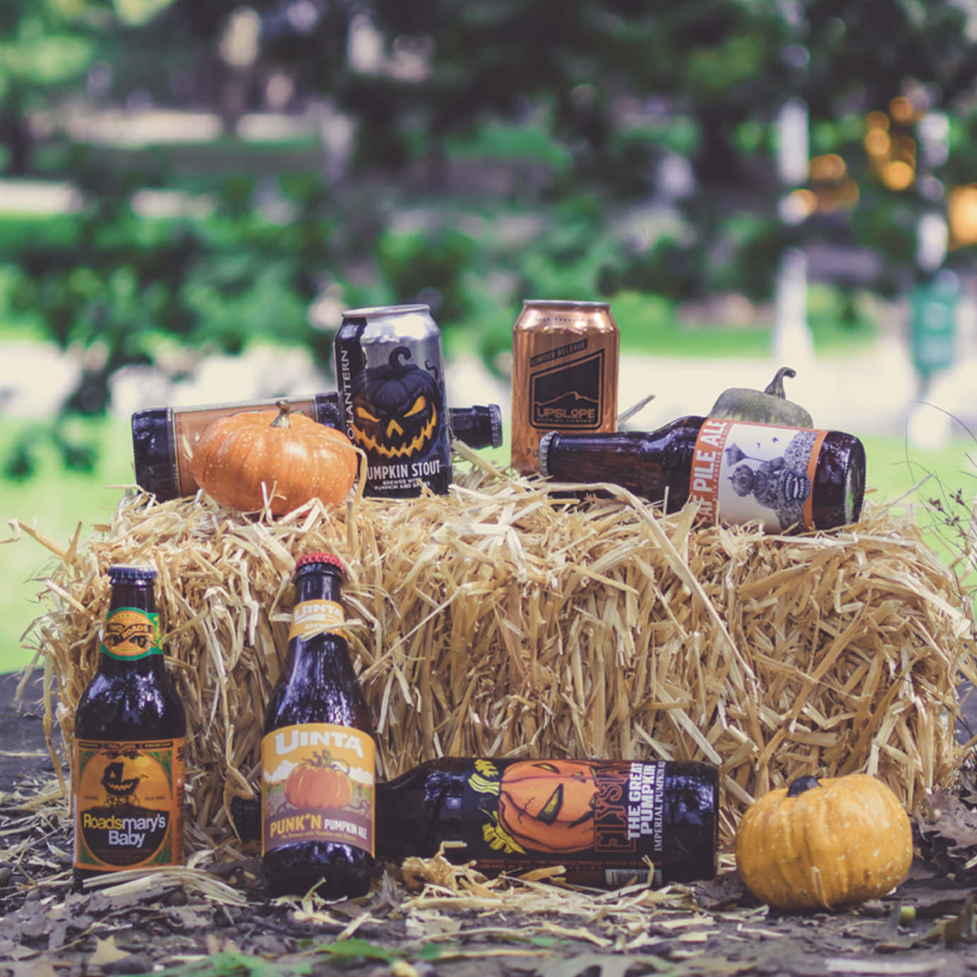 28 of This Fall’s First Crop of Pumpkin Beers, Tasted and Ranked