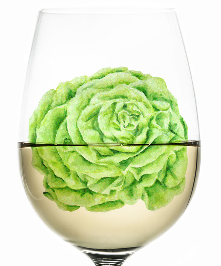 You Aren’t Imagining It. Many Famous Wine Varieties Smell Like Salad.