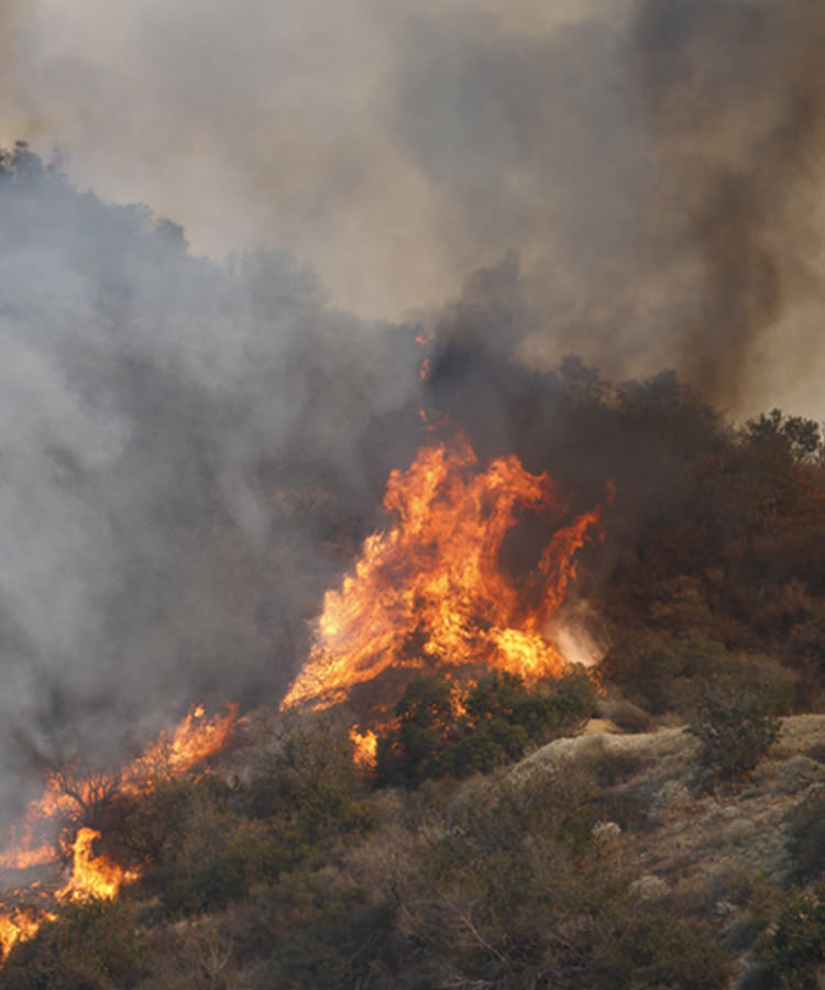 Devastating Wildfires Rage Across Napa and Sonoma