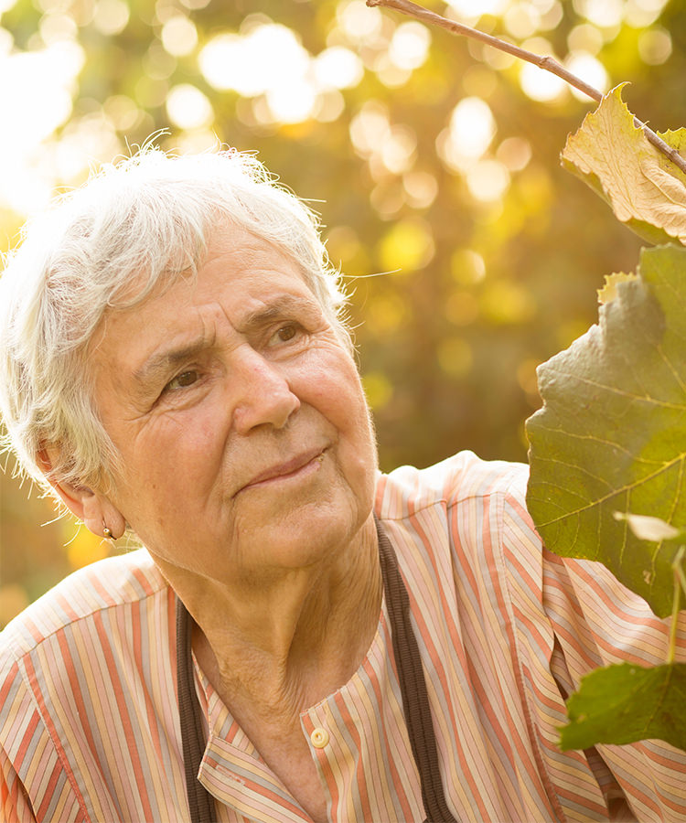 This 97-Year-Old Woman is Still Working the Grape Harvest