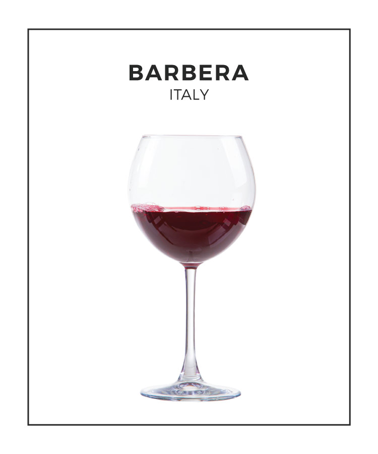 An Illustrated Guide to Barbera From Italy