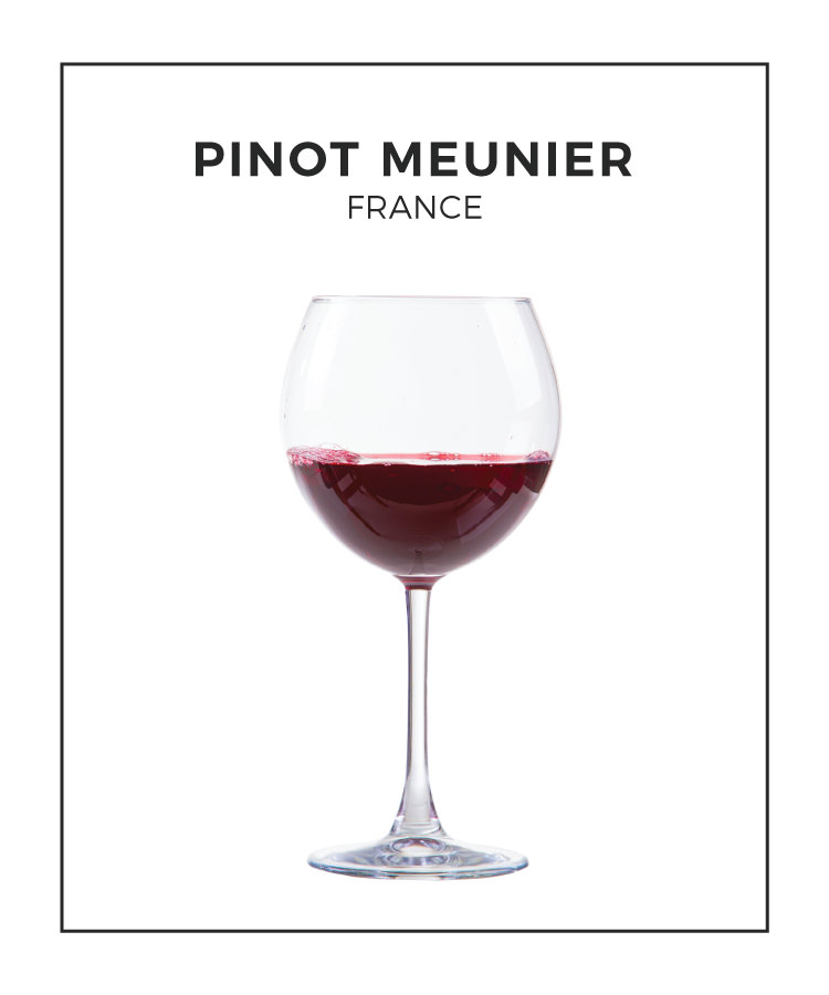An Illustrated Guide to Pinot Meunier