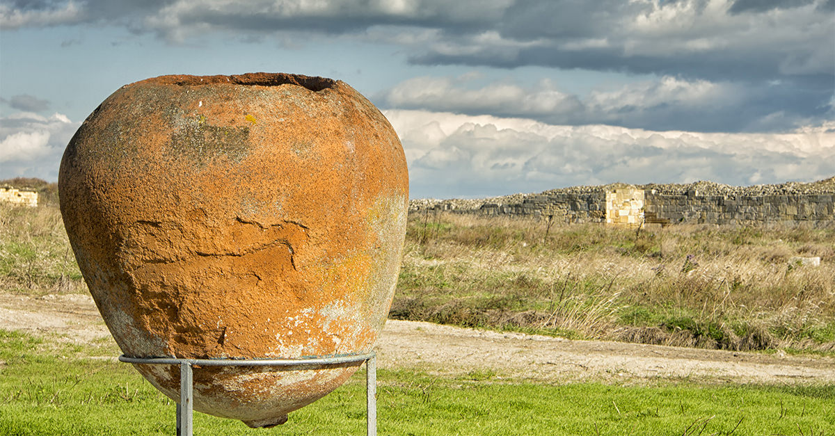 Researchers Found Evidence Of The Oldest Winemaking Site In The World ...