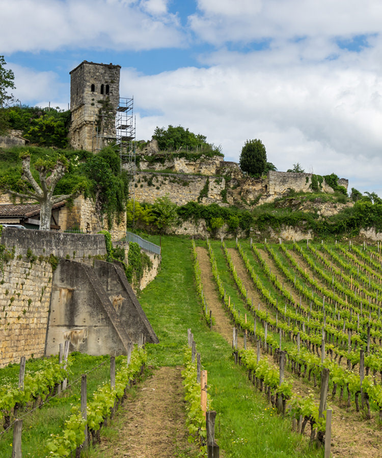 Quelle Horreur: Chinese Investor Renames Historic Bordeaux Vineyards