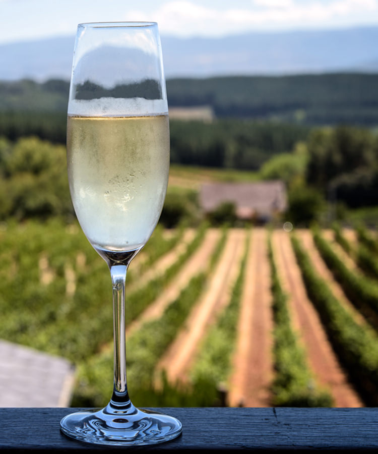 12 of the Best Grower Champagnes to Toast the Holidays