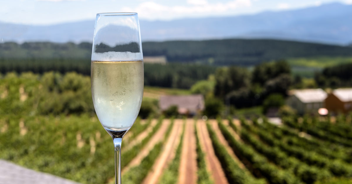 12 of the Best Grower Champagnes to Toast the Holidays | VinePair