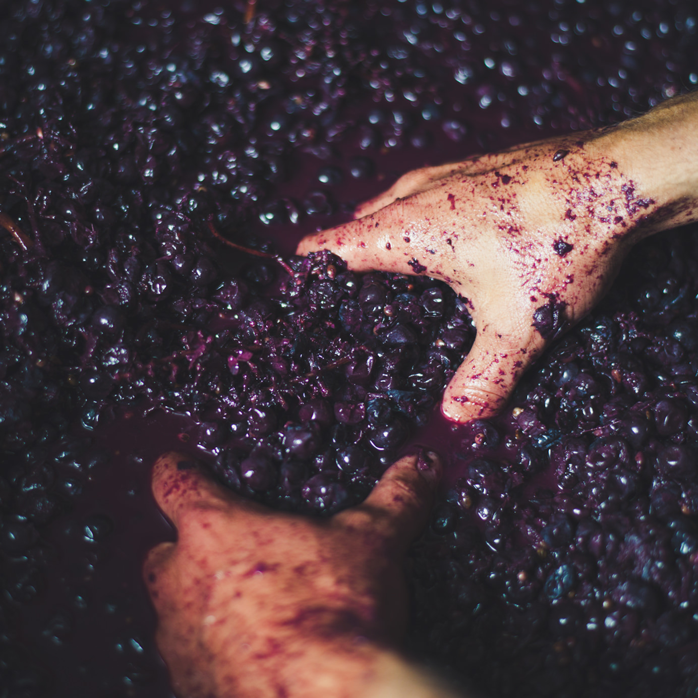 The Taste Trends Powering Natural Wine’s Perfect Storm