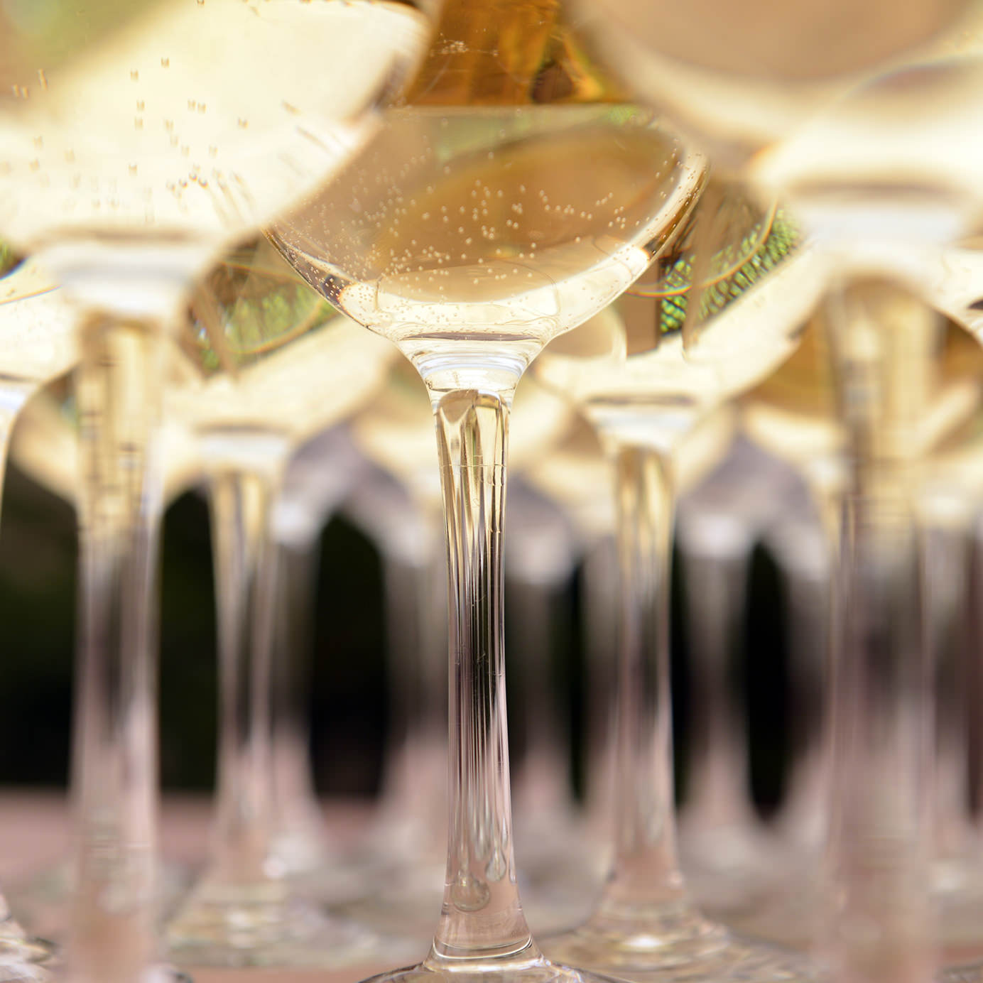 Five Sparkling Alternatives for Veuve Clicquot Lovers