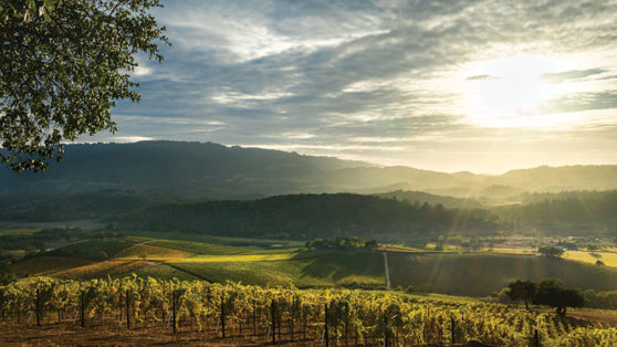 The World’s Top 10 Wine Destinations for 2018 | VinePair