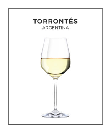 An Illustrated Guide to Torrontés From Argentina