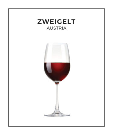 An Illustrated Guide to Zweigelt From Austria