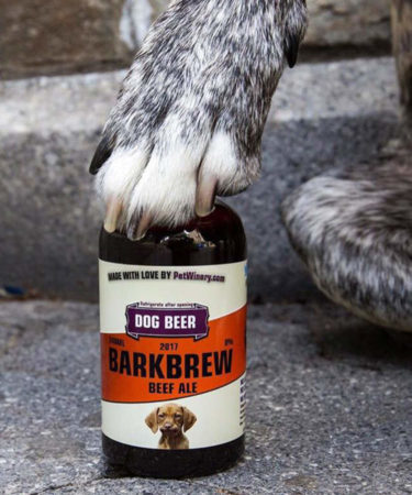 Brew Dogs: 5 ‘Beers’ for Thirsty Pooches