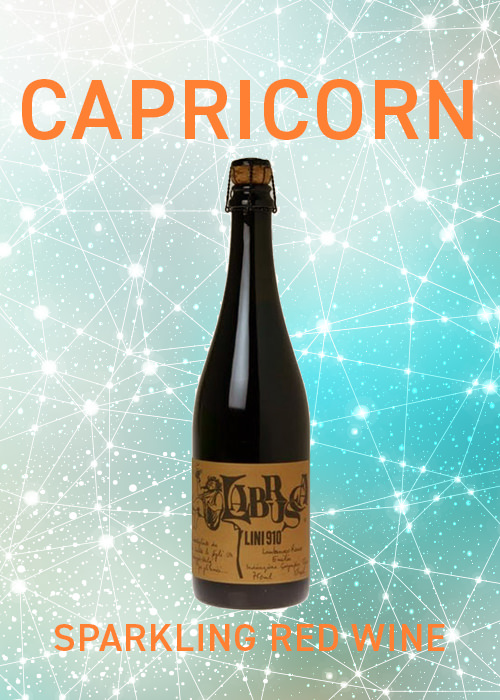 Capricorns should embrace sparkling red wine, according to VinePair's drink pairing horoscope.