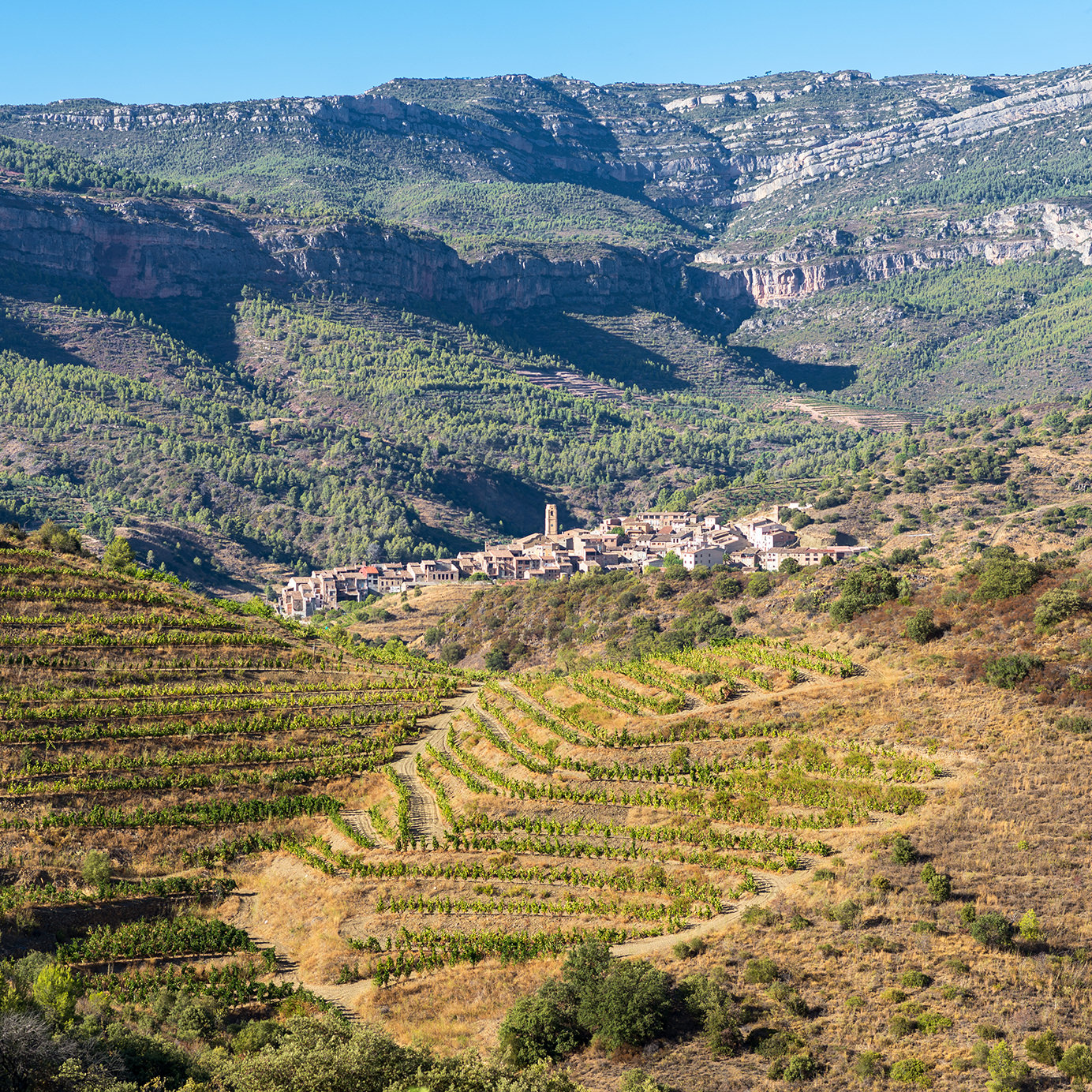 Making the Case for Terroir in Spain Has Never Been Easy