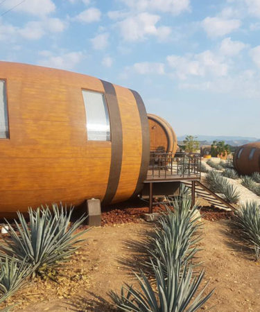 Sleep in a Tequila Barrel in a Field of Agave at This Mexican Hotel