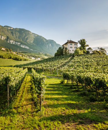 Alto Adige – Südtirol 101
