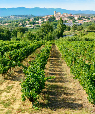 Languedoc’s Road to Redemption Is Awash in Rosé