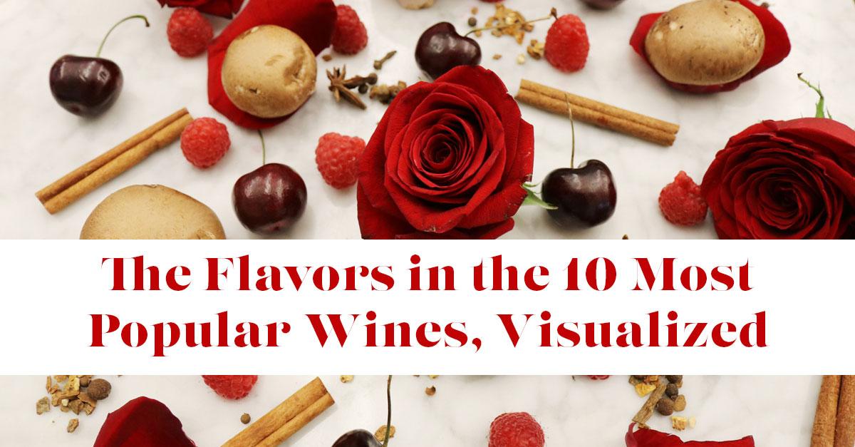 The Flavors In The 10 Most Popular Wines, Visualized (Infographic ...