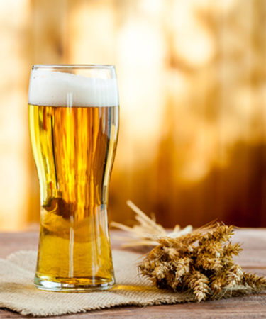 New Study Says Beer, Not Bread, was Man’s Motivation for Cultivating Cereals