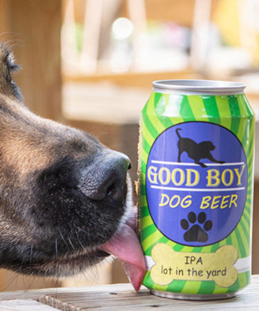 Beer For Dogs Now Available at 15 Bars and our Tails Are Wagging
