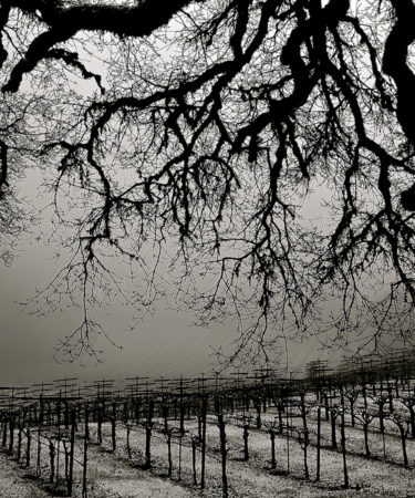 Killer Boo-quet: 10 American Wineries With Haunted Histories