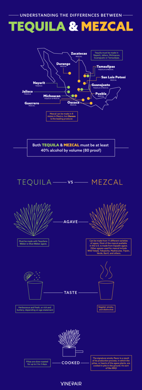 Understanding the Differences Between Tequila and Mezcal (Infographic