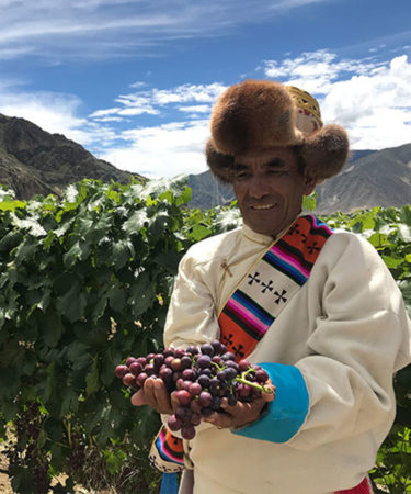 The ‘World’s Highest Vineyard’ Has Just Been Crowned