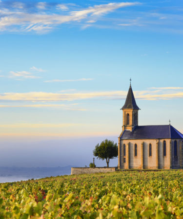 9 Questions About Beaujolais You’re Too Embarrassed to Ask