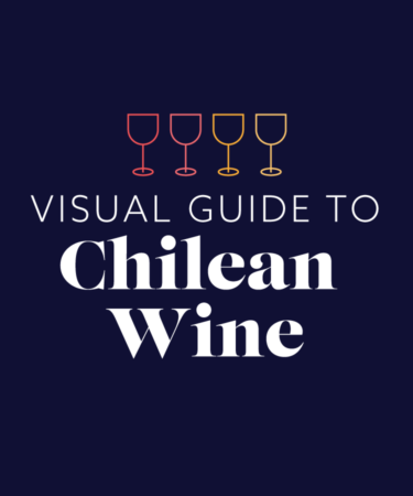 Here’s Your Visual Guide to Chilean Wine [INFOGRAPHIC]
