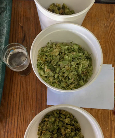 Homebrewing Hero Charlie Papazian Brewed a Beer with Smithsonian-Grown Hops