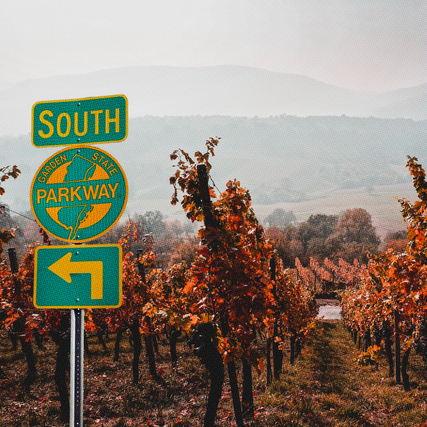 New Jersey Wine Trails: An Insider's Guide