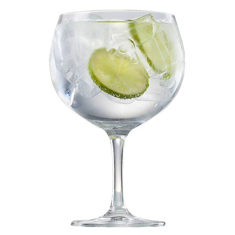 Best Sturdy Gin and Tonic Glasses