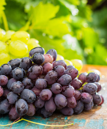 Growing Organic Wine Consumption Will Reach 87.5 Million Cases by 2022