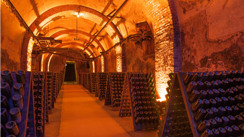 Champagne is one of the best wine vacation destinations!