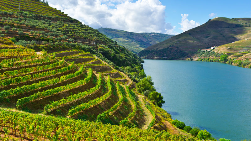 Portugal is one of the best wine vacation destinations!