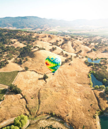 The Winemakers Planting Alternative Varieties and Reimagining California’s Future