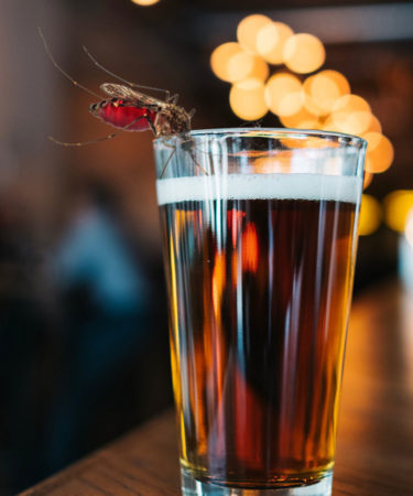 Ask Adam: Do People Who Drink Beer Get Bitten by Mosquitoes More?