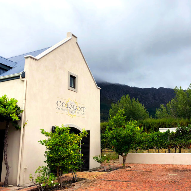 A Field Guide to South Africa’s Best Sparkling Wines