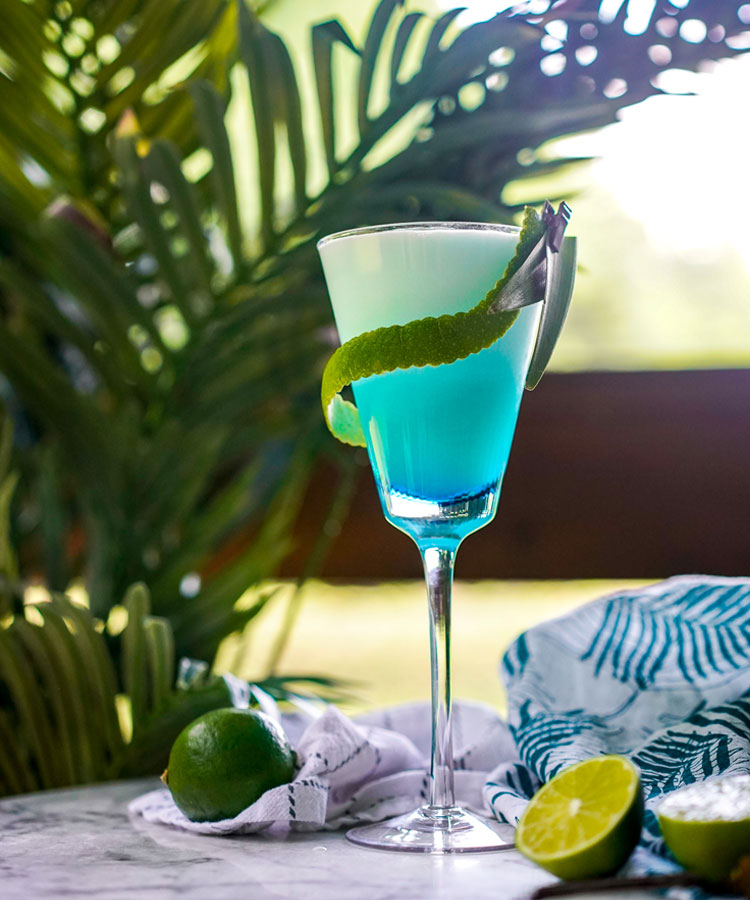 blue-agave-tequila-drink-recipes-besto-blog