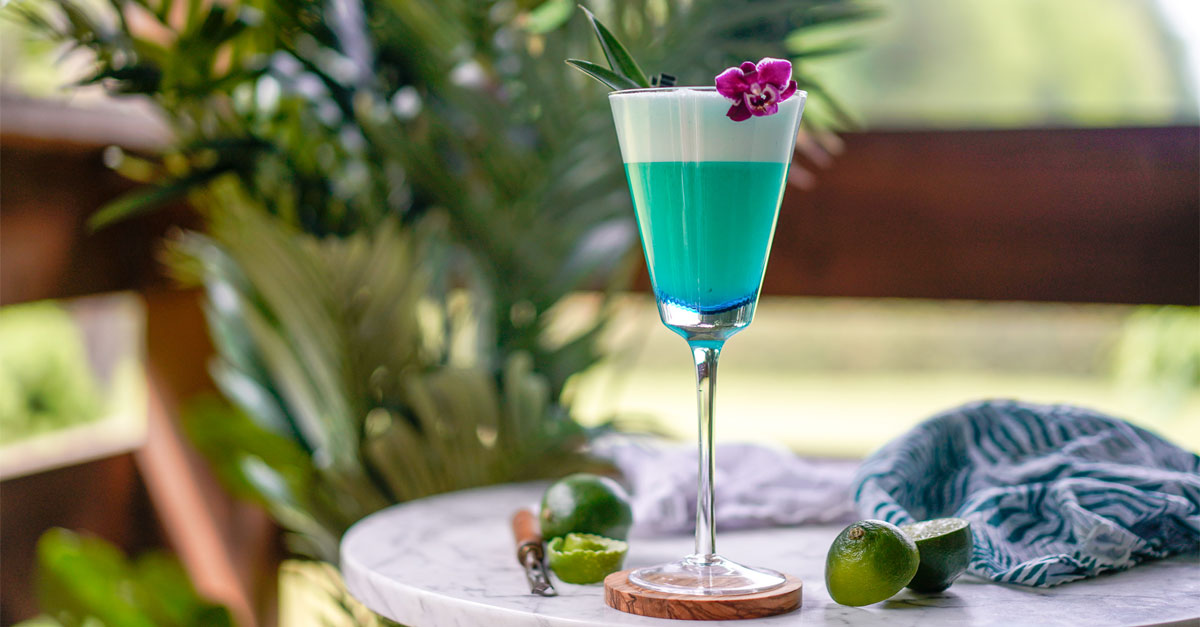 The Blue Agave Sour Recipe