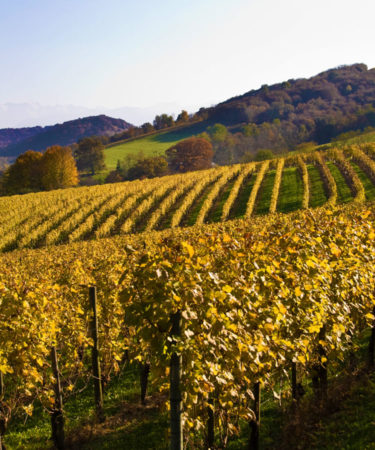 8 Reasons to Sip Your Way Through the Wines of Southwest France