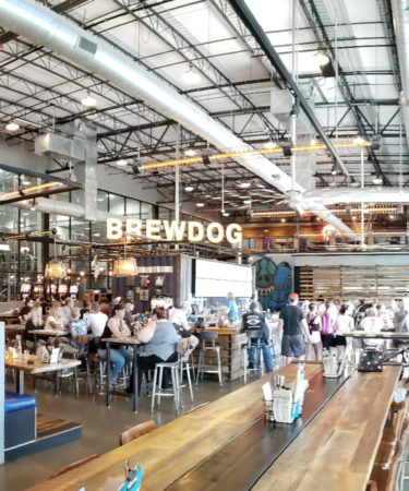11 Things You Should Know About BrewDog