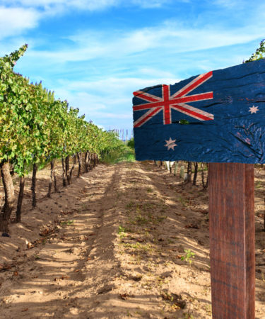 Australian Wine 101: The Lowdown on Wine Down Under