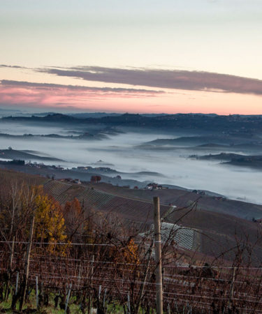 Meet the Young Winemakers Championing Barolo’s New Wave