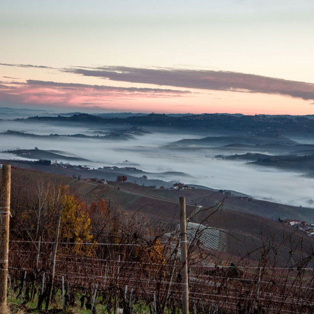 Meet the Young Winemakers Championing Barolo’s New Wave