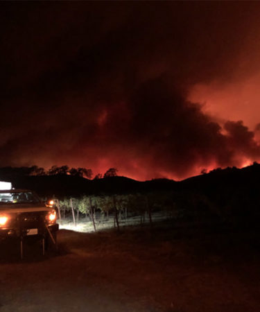 The Kincade Fire Continues to Threaten Northern California’s Vineyards