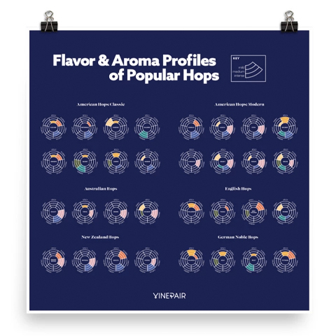 Hop Flavor and Aroma Poster