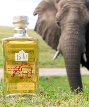 Here’s A New Twist For Your Gin & Tonic: Elephant Dung
