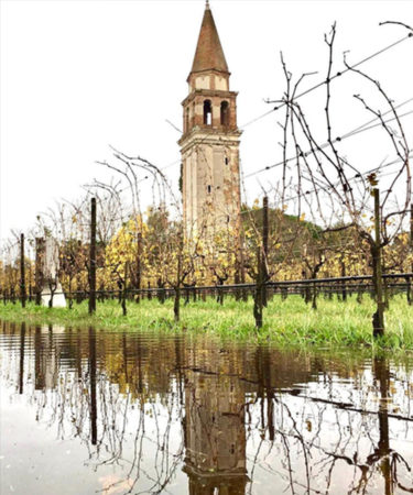 Venice’s Island Vineyard Venissa Tries to Save Rare Grapes After Floods